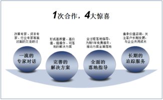 雙百行動與國企轉型 信息咨詢服務產品手冊深度解讀